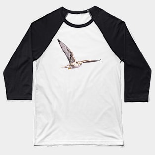 Saker Falcon Baseball T-Shirt